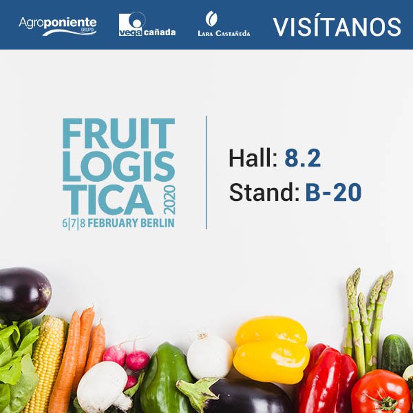 Grupo Agroponiente afronta su duodécima presencia consecutiva con stand en Fruit Logística 2020, donde se ubicará en el Hall 8.2 de Messe Berlí