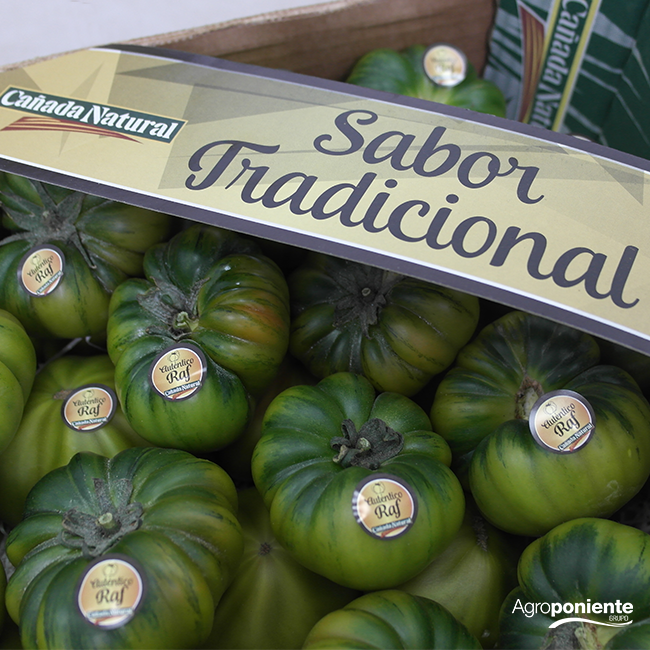 Grupo Agroponiente y su empresa especialista en tomate, Vegacañada, inician la comercialización de su línea de Tomate Raf